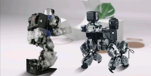 機(jī)器人中的diy,成就滿滿